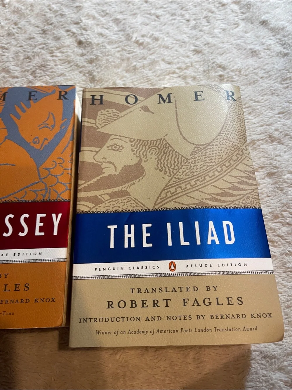 Classic Homer Paperback Set – The Iliad & The Odyssey